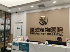 -瑞派康怡24h宠物医院·犬猫医疗中心·微创绝育(瑞景分院)