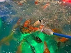 -金轮星光名座生活广场