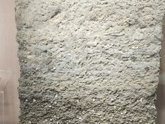 -烟台市博物馆