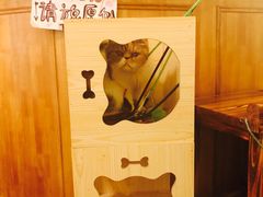 -猫色咖啡·猫咖
