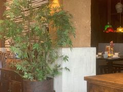 -灶丰年间(定安路店)