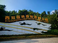 -西双版纳原始森林公园