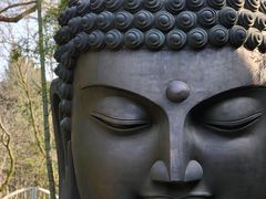 -杭州植物园