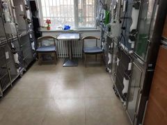 -宠福鑫动物医院·动物疾病诊疗中心(天通苑店)