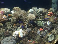 -福州罗源湾海洋世界旅游区