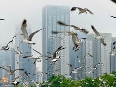 -东港音乐喷泉广场