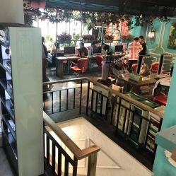 点击看大图 -金棕榈