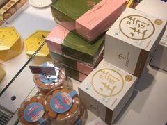 -蒲公英(五里店)