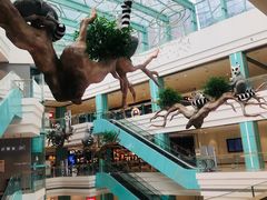 -大族广场Mall&More