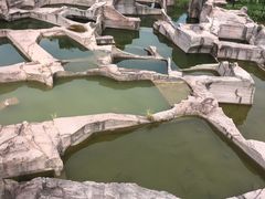 -蛇蟠岛