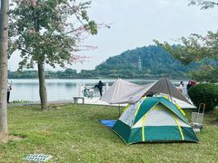 -顺峰山公园
