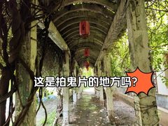 -盛世南宫影视城(北普陀影视城)