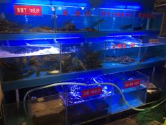 水产区-苗家大院酸汤鱼(贵阳北站店)