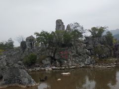 -千岛湖石林
