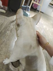 -IDEA·艾蒂尔科技美肤·日式美甲美睫集合店