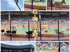 -上海野生动物园