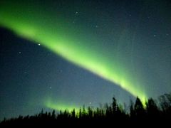 -麒麟海鲜酒家(Richmond)