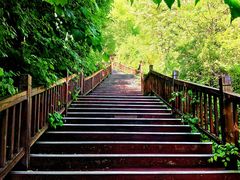 -云顶山风景区