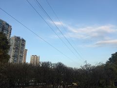 -晓港公园
