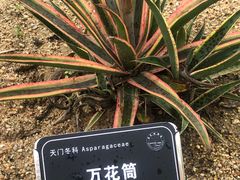 -东莞植物园