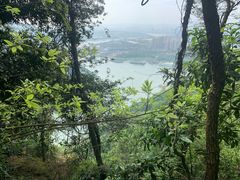 -铁山坪森林公园