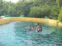-上海玛雅海滩水公园