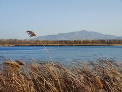 -野鸭湖国家湿地公园