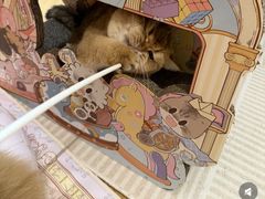 -青岛胶东国际机场
