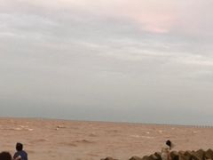 -南汇嘴观海公园