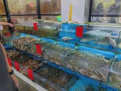 -洲晓鱻舟山海鲜(2号店)