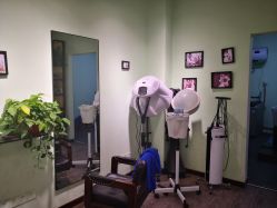 -初心HAlRSALON烫染接发