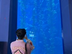 -南昌融创海世界