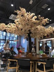 -简影造型·自选烫染接发salon