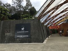 -怀托摩萤火虫洞