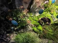 -湖南省地质博物馆