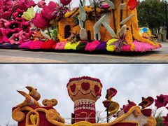 -荷兰花海
