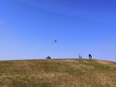 -春花秋色城市公园