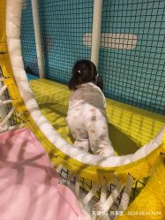 -利奥梦幻主题乐园(爱琴海购物公园店)