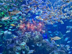 -成都浩海立方海洋公园