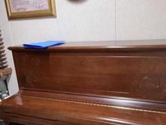 -雅马哈钢琴专卖店盛世雅歌琴行·电钢琴城·钢琴培训(翠微路店)