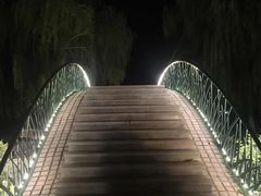-莫子山公园