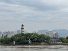 -江心屿景区