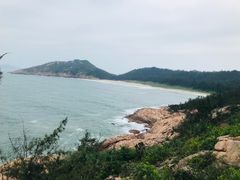 -广东惠东海龟国家级自然保护区