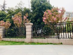-西南交通大学(九里校区)
