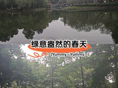 -晓港公园