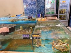 -田园肥牛鲍鱼先生(新北店)