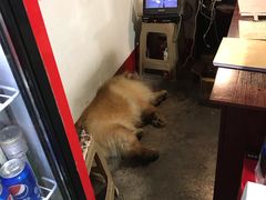 -西昌老号李小肠特色烧烤园(双流店)