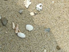 -川湘蓝天海鲜