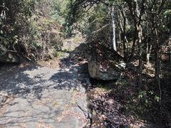 -大慈岩风景区