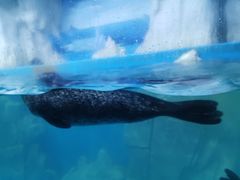 -多彩贵州城极地海洋世界